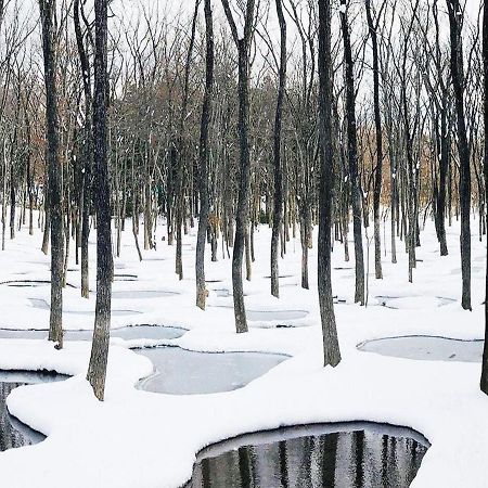 Art Biotop Nasu Zewnętrze zdjęcie